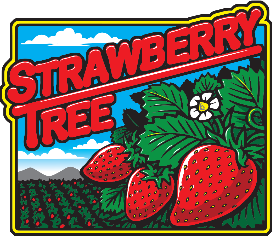 strawberry tree